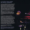 Baldvin Hlynsson - Motive - Image 5