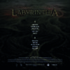 Daníel Hjálmtýsson - Labyrinthia - Image 2